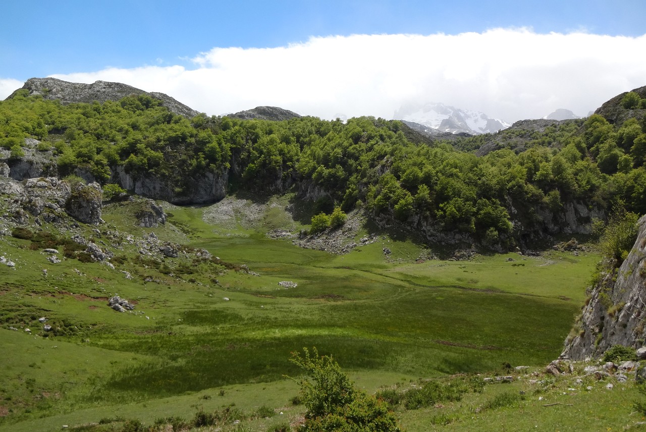 Green valleys and beautiful Picos